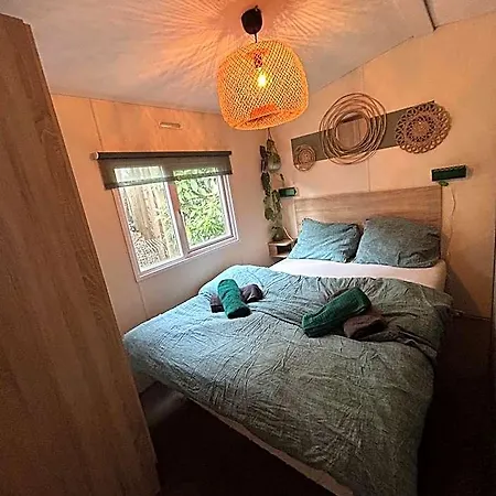 Boshuisje Met Sauna In Hoenderloo アーペルドールン